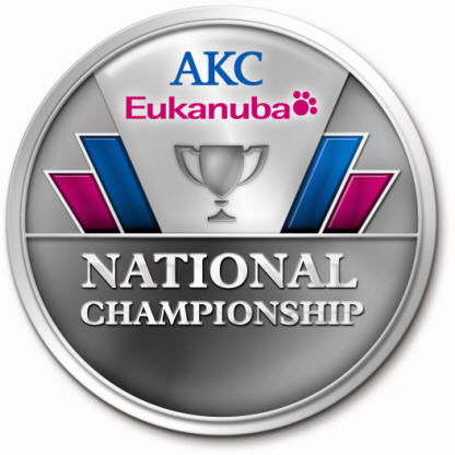 AKC Havanese Eukanuba Invitee