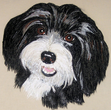 Havanese dogs brace
