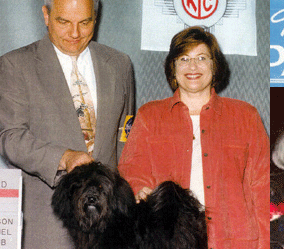 Tempe Havanese